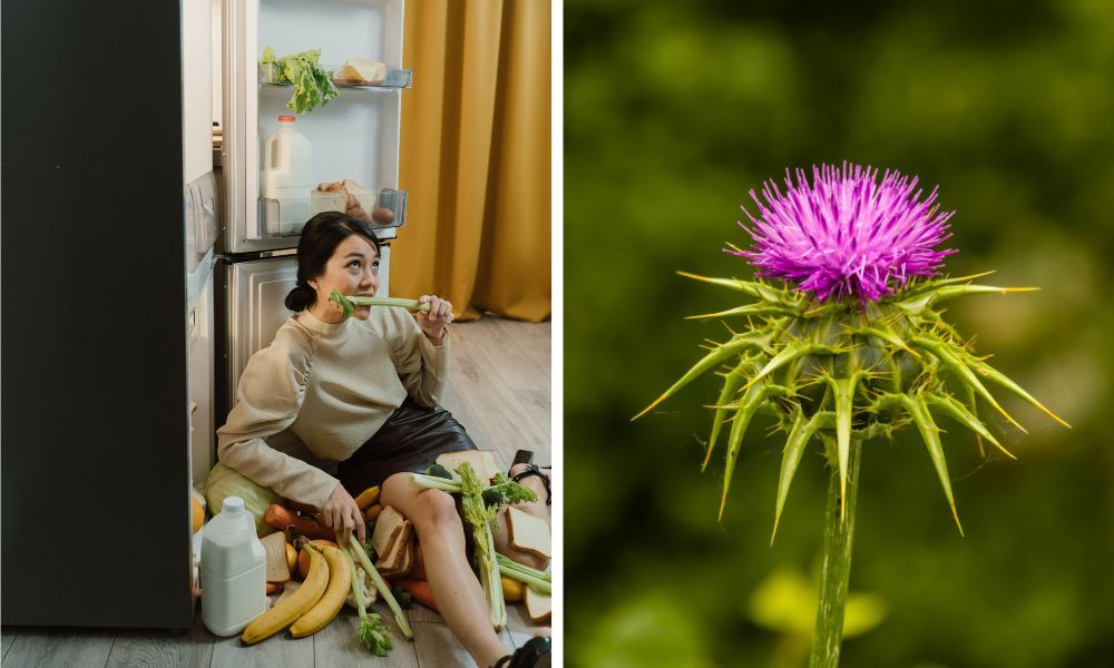 The Truth About Organic Milk Thistle (And Why You Need It)