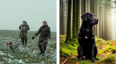 Best-Hunting-Training-Collars-For-Dogs
