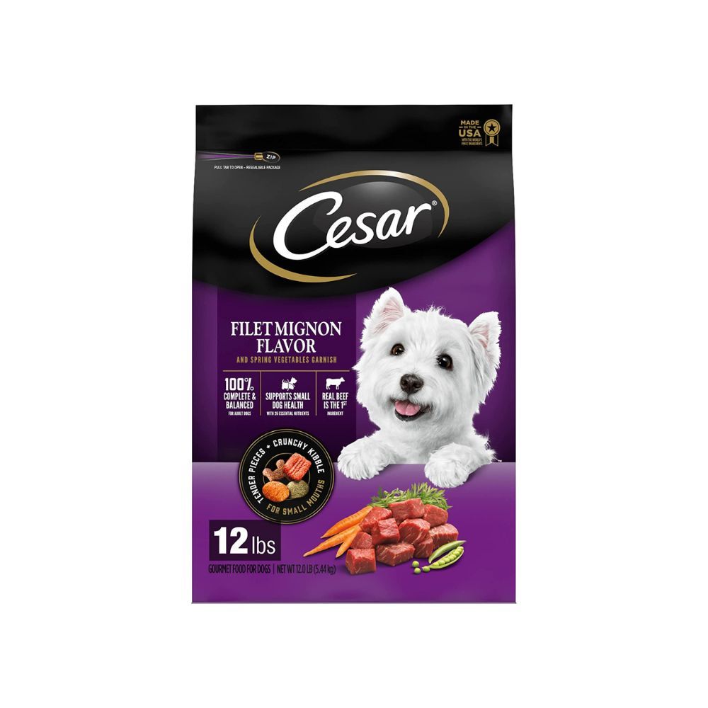 Is Your Maltese Eating the Right Food? Discover the Best Dog Food for Maltese!