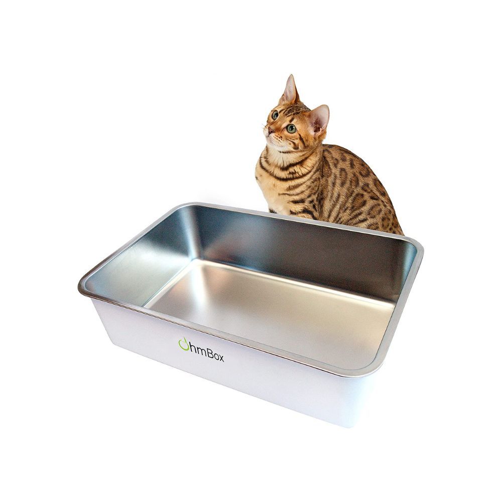 Goodbye Cat Litter Smell! Hello To My New Stainless Steel Cat Litter Box